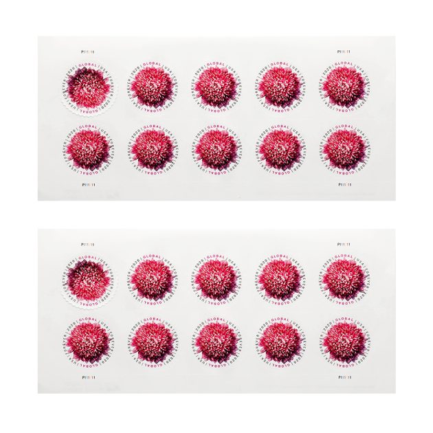 2020 US Global Chrysanthemum Forever Stamps