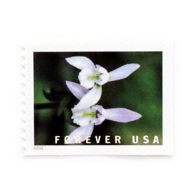 US 2021 Wild Orchids Framed Forever Stamps