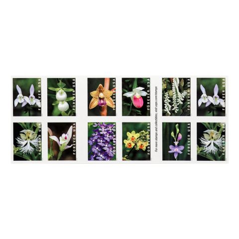 US 2021 Wild Orchids Framed Forever Stamps