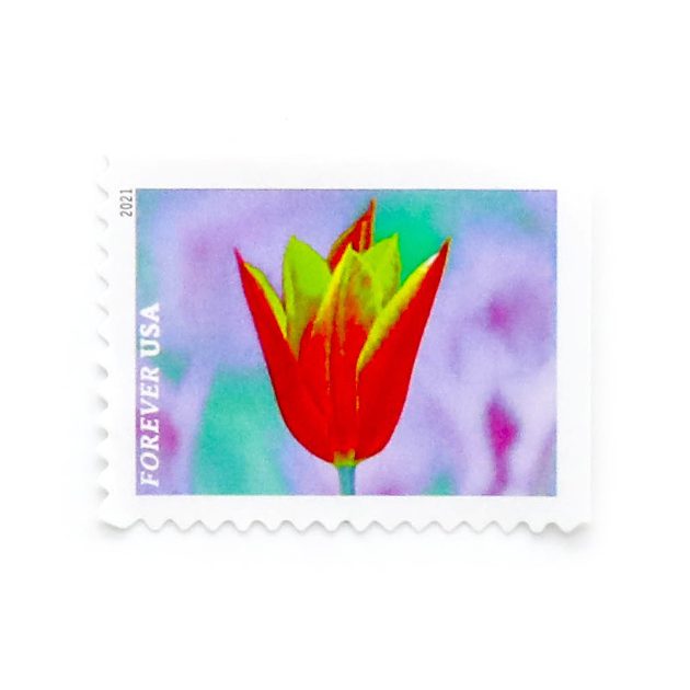 2021 US Garden Beauty Forever Postage Stamps